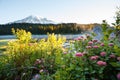 Reflection Lake Royalty Free Stock Photo