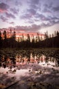 Reflection on Lake of Trees and Sunrise Royalty Free Stock Photo