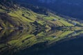 Reflection in lake Wagital