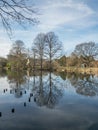 Reflection of a large winters on a still lake on a sunny afternoon. Royalty Free Stock Photo