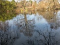 Reflection of large winter tree on a lake. Royalty Free Stock Photo