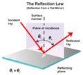 The reflection law infographic diagram for physics science