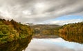 Reflection on Loch Faskally Royalty Free Stock Photo