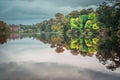 Reflection of mansion in the trees