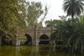 A reflection and mesmerizing view from the side of the pond,lake of palm trees and bridge monument at lodi garden or lodhi gardens