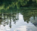 Reflection in the mountain lake of coniferous forest and mountain landscape Royalty Free Stock Photo