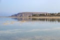 Reflection of mountains and palm trees in the salty water of the Dead Sea Royalty Free Stock Photo