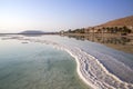 Reflection of mountains and palm trees in the water of the Dead Sea with salt formations Royalty Free Stock Photo