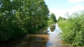 Reflection in muddy water on a sunny day Royalty Free Stock Photo