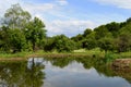 Reflection of nature in the lake