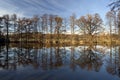 Reflection of oak tree alley Royalty Free Stock Photo