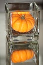 Reflection of an orange gourd.