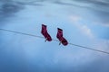 Reflection of a pair of purple socks hanging on a laundry line on the water