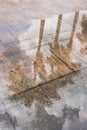 Reflection of palm tree Royalty Free Stock Photo