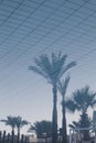 Reflection of palm trees in blue water in pool. Summer tropical background Royalty Free Stock Photo
