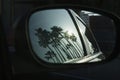 Reflection of palm trees in car mirror Royalty Free Stock Photo