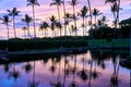 Reflection of palm trees on a pond during sunset at a resort in Maui, Hawaii Royalty Free Stock Photo