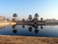 Reflection of palms Royalty Free Stock Photo