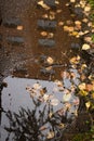 Reflection of the panel house in the puddle. Royalty Free Stock Photo