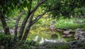 Reflection in peaceful oriental landscaped pond seen from under tree braches with paved walking path around it