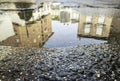 Reflection in a puddle Royalty Free Stock Photo