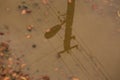 Reflection in the puddle Royalty Free Stock Photo