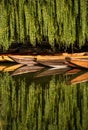 Reflection of punting boats in the Neckar River