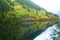 Reflection in Rhinoceros Lake Royalty Free Stock Photo