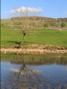 Reflection On The Ribble Royalty Free Stock Photo