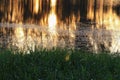 Reflection river and shadow tree in water beautiful sunset nat Royalty Free Stock Photo