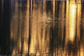 Reflection river and shadow tree in water beautiful sunset Royalty Free Stock Photo