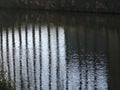 Reflection of a row of poplar trees in the water Royalty Free Stock Photo