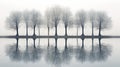 Reflection of row of trees in lake, black and white