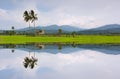 Reflection of a rural scenery in Kota Marudu, Sabah, East Malaysia