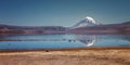 Reflection of Sajama volcano from Chungara lake, Chile Royalty Free Stock Photo