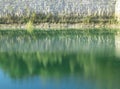 Reflection of a sandstone wall and trees in a pond in a sanstone mine