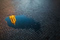 Reflection of Sant'Agnese in Agone, Navona Square, Rome, Italy Royalty Free Stock Photo