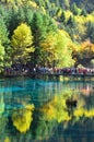 Jiuzhaigou National Park located in the north of Sichuan Province in the southwestern region of China.