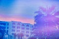 Reflection of the setting sun in the pool water near the Arab building, copy space. Palm trees, sunset and landscape in arabic Royalty Free Stock Photo