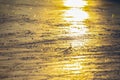 Reflection of the setting sun on the surface of the ice rink. Texture and backgrounds Royalty Free Stock Photo