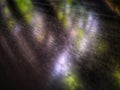 Reflection on shiny wooden floor