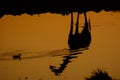 Reflection and silhouette of a giraffe