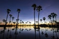 Reflection of silhouettes Palm tree Royalty Free Stock Photo