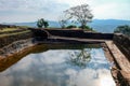 Reflection of a single tree in a natural pool at the top of a famous landmark - Sigiriya Lion Rock Fortress in Sri Lanka. UNESCO Royalty Free Stock Photo