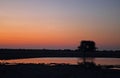 REFLECTION OF SINGLE TREE NEXT TO WATER PAN REFLECTING DEEP PINK AFTERGLOW OF SUNSET