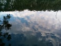 Reflection of the sky, clouds and plants in the water. Witch effect.