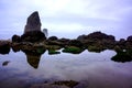 Reflection of Sky and Rocks in Tide Pools