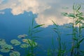 reflection of the sky in the surface of the lake. water lilies on the water Royalty Free Stock Photo