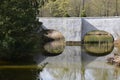 Reflection of sky and trees in the fish pond in the garden Royalty Free Stock Photo