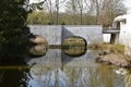 Reflection of sky and trees in the fish pond in the garden Royalty Free Stock Photo